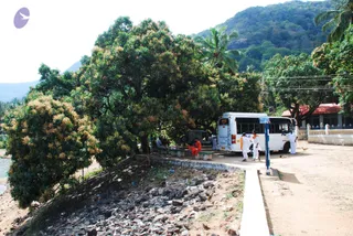DSC_0053_CMP_WM