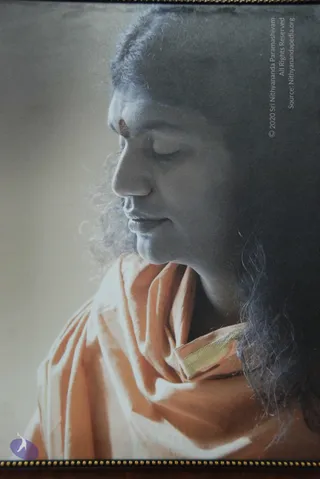 Kalpataru_Photo_1007_DSC_0222_CMP_WM