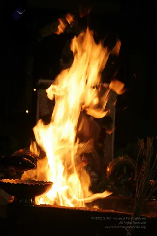 20090528_IMG_272301