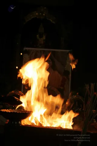20090528_IMG_272501