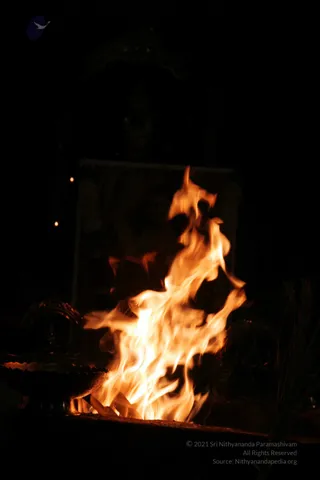 20090528_IMG_272601