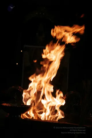 20090528_IMG_272701