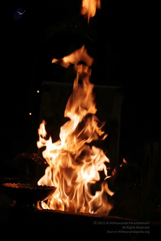 20090528_IMG_273101