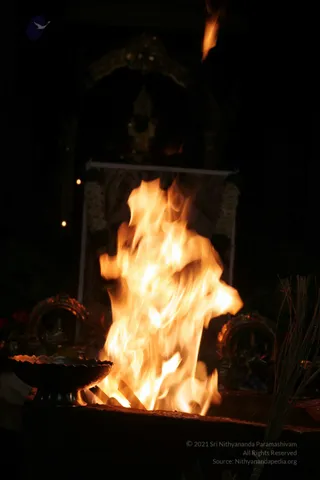 20090528_IMG_274501