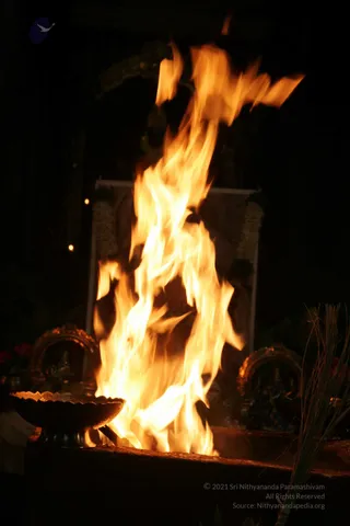 20090528_IMG_274601