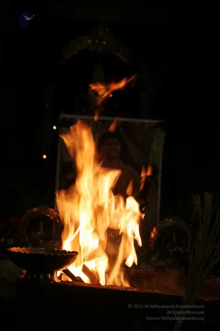 20090528_IMG_274701