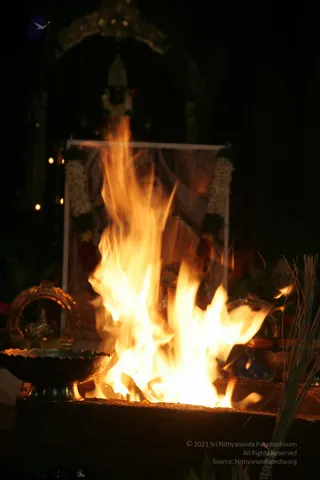 20090528_IMG_276001