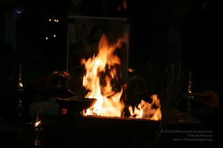 20090528_IMG_276501