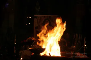 20090528_IMG_277501