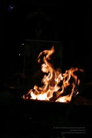 20090528_IMG_279401