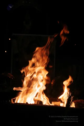 20090528_IMG_279501