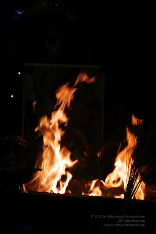 20090528_IMG_279601