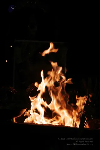 20090528_IMG_280401