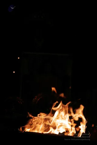 20090528_IMG_280601