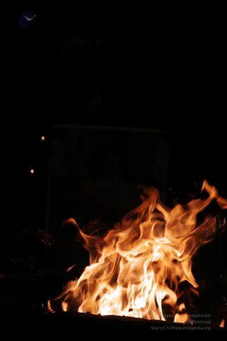 20090528_IMG_280701