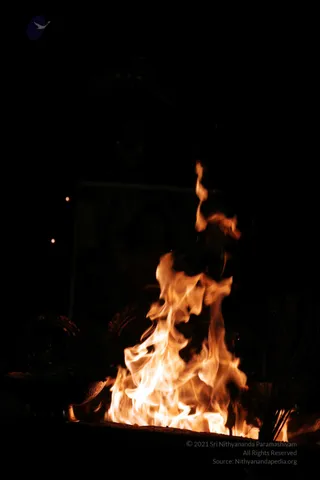 20090528_IMG_280801