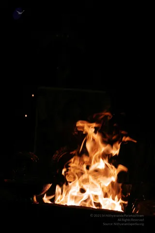 20090528_IMG_280901