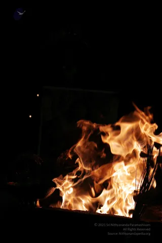 20090528_IMG_281001