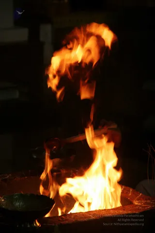 20090528_IMG_282201