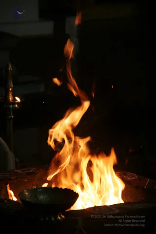 20090528_IMG_283201