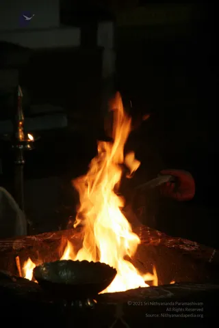20090528_IMG_283301