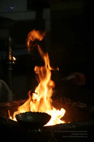 20090528_IMG_283401