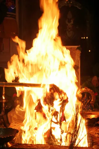 20090528_IMG_288601