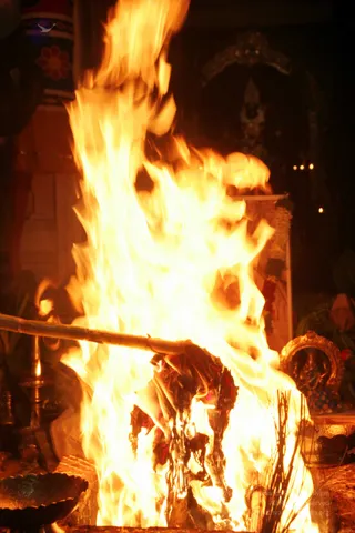 20090528_IMG_288901