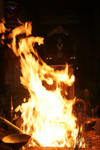 20090528_IMG_289701