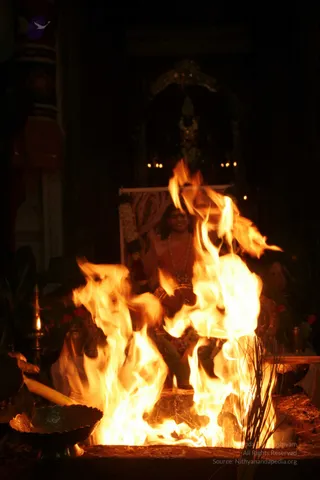 20090528_IMG_290401
