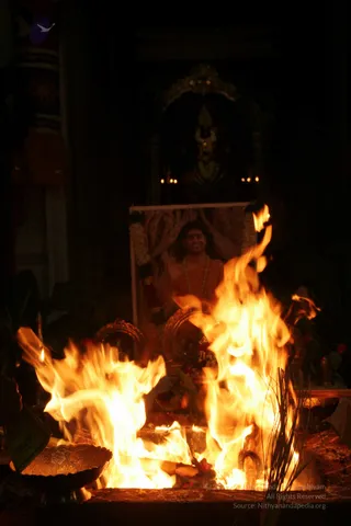20090528_IMG_290501