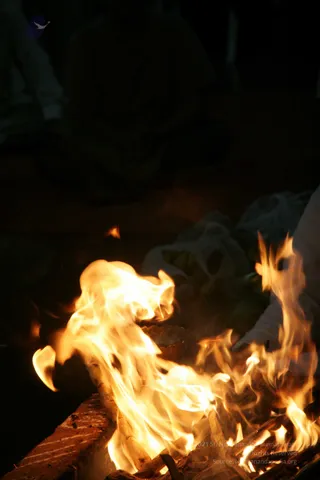 20090528_IMG_294101