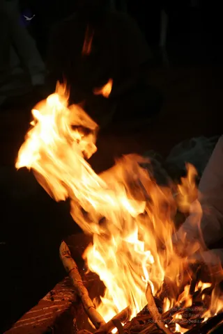 20090528_IMG_294201