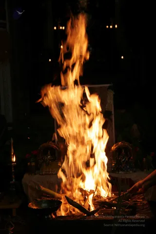 20090528_IMG_295601