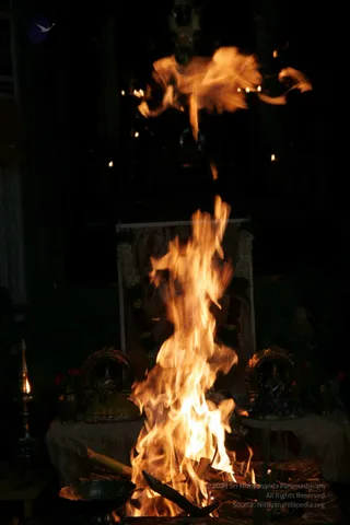 20090528_IMG_296301