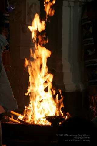 20090528_IMG_296701