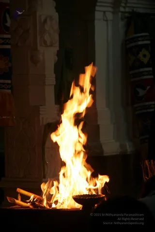 20090528_IMG_297201
