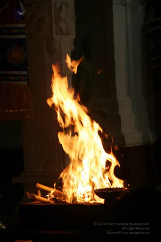 20090528_IMG_297401