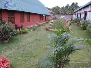 November 10 2009