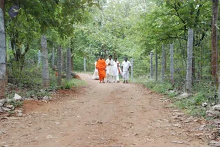 DSC_3461_CMP_WM