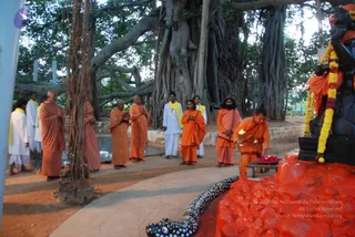 October 15 2009