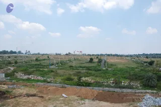 October 15 2009