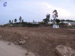 October 31 2009
