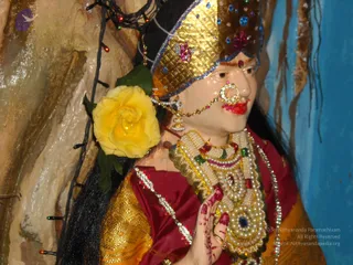 DSCN0798_CMP_WM