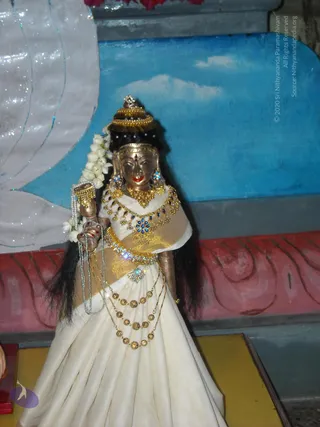 DSCN0878_CMP_WM