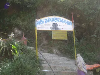 File0308_CMP_WM