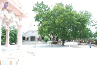September 10 2009
