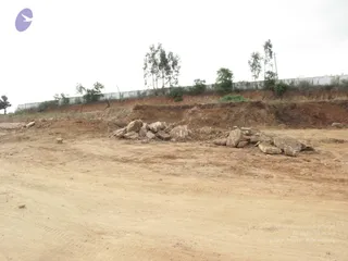 2009-View-of-Construction-Activities