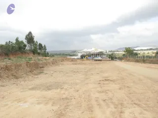 2009-View-of-Construction-Activities