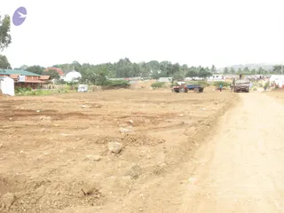 2009-View-of-Construction-Activities